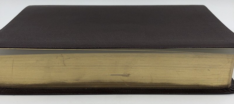 Sonrise Daily Devotional Bible~Thomas Nelson 2004 Bonded Leather ~ Burgundy gallery