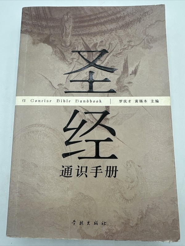 Chinese A Concise Bible Paperback Rare Vi Horae 2007 564 Pages