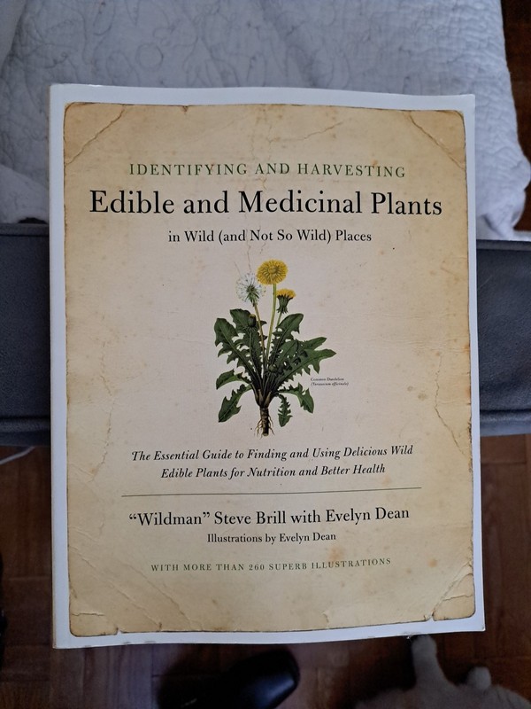 Foraging Edible Medicinal Plants Identifying Harvesting Not So Wild Place Brill