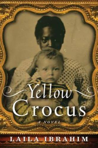 Yellow Crocus – Paperback By Ibrahim, Laila – VERY GOOD