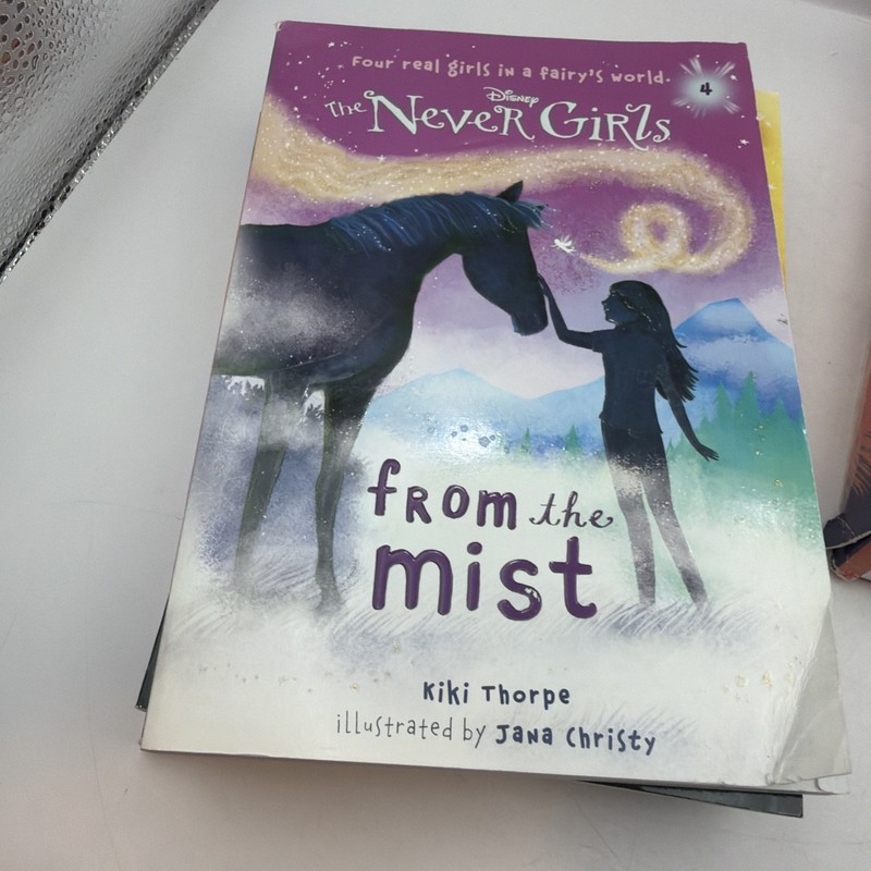 RH/Disney, The Never Girls Collection #1: Books 1-4 Bonus #8 gallery