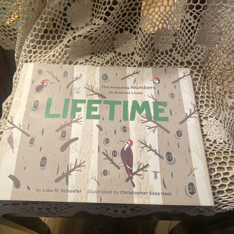Lifetime: The Amazing Numbers in Animal Lives by Schaefer, Lola M.2013 HC.