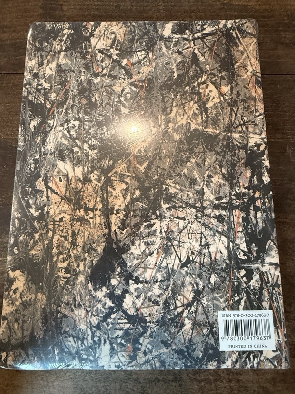 Dallas Museum of Art: A Guide to the Collection by Dallas Museum of Art Rare NEW gallery