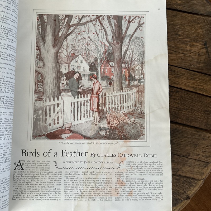 1930 June WOMAN'S HOME COMPANION MAGAZINE - 172 Pages gallery