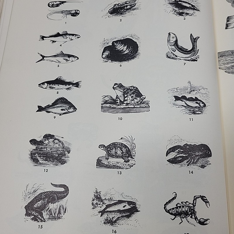 1956 Handbook Of Early Advertising Art Hornung Design Illustrators Reference gallery