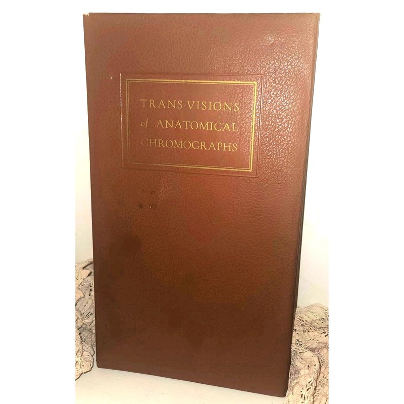 1958 Trans-Visions Anatomical Chromographs Anatomy Transparencies by Parke Davis gallery