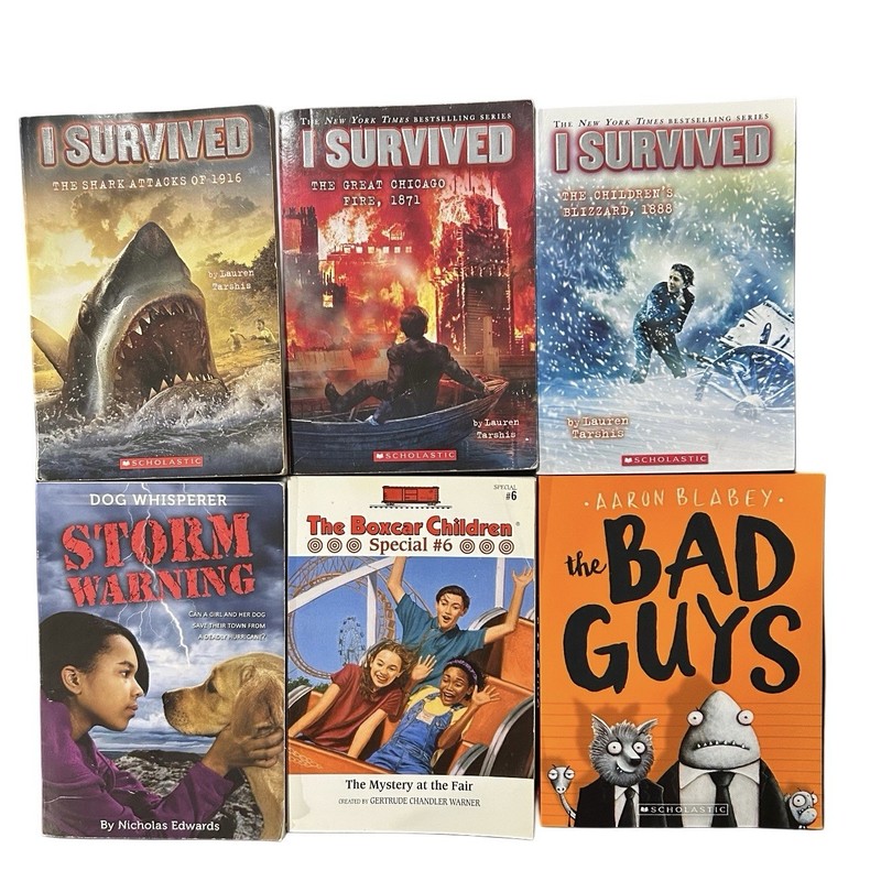 Chapter Books Lot Of 6 Paperback Set Boys Interest Boxcar, I Survived, Bad Guys