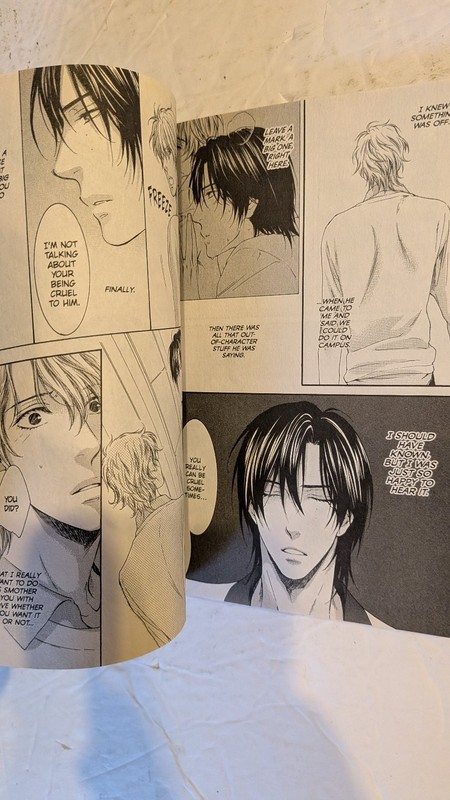 Don't Be Cruel Akira Takanashi's Story Yonezou Nekota Manga Yaoi BL Sublime gallery