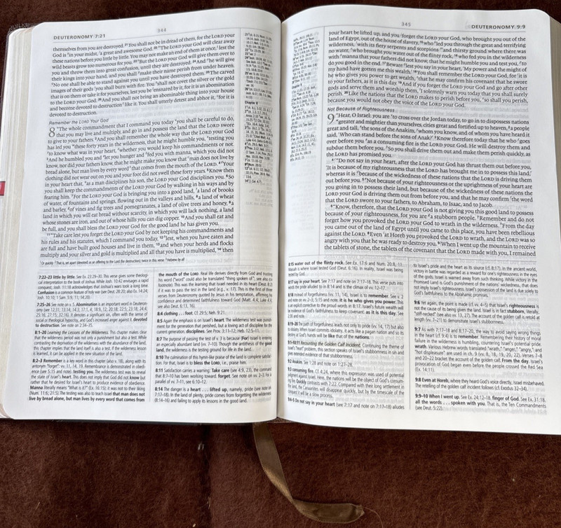 ESV Study Bible 2008 Crossway Bibles Navy/Brown Leather Hardcover $0 Shipping! gallery