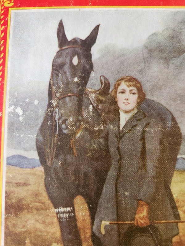 1930s Black Beauty Anna Sewell The Newberry Classics David McKay Co. Illustrated gallery