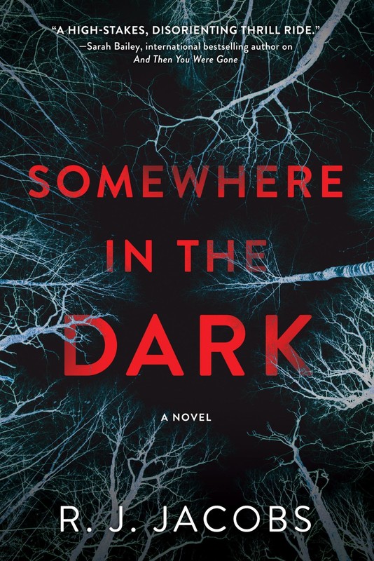 Somewhere in the Dark: A Novel, Jacobs, R. J., New Book