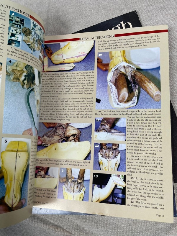 2001 Breakthrough Taxidermy Magazine Lot of 4 Wildlife Artists gallery
