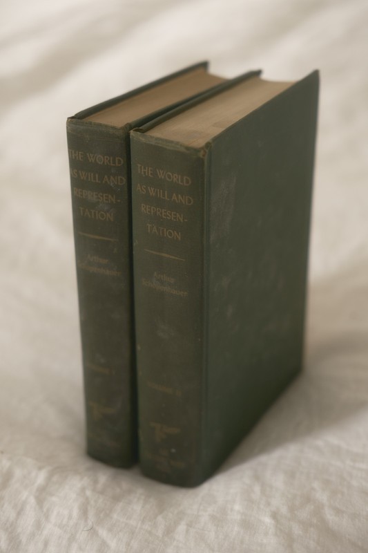 Very Scarce First Thus Schopenhauer World as Will & Representation 2 Vol. 1958