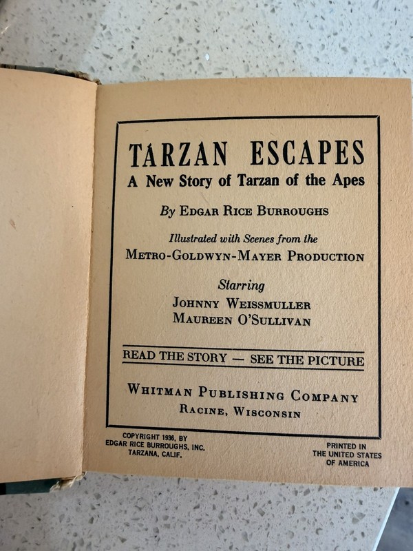 Tarzan Escapes 1936 Big Little Book Vintage Whitman MGM RARE gallery