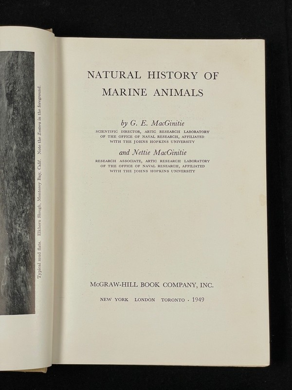 Natural History of Marine Animals by G.E. MacGinitie Hardcover Ocean gallery