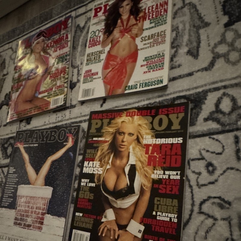 Playboy Magazine Lot 8 Tara Reid LeAnn Tweeden Lindsay Lohan Paz Vega Rare gallery