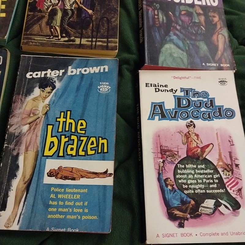 10 Vintage Signet Dell Paperback Books 40s 50s 60s Noir Smut Crime Love Lot gallery
