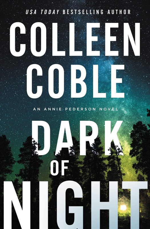 Dark of Night: A second-chance slow-burn romantic suspense series with secre…
