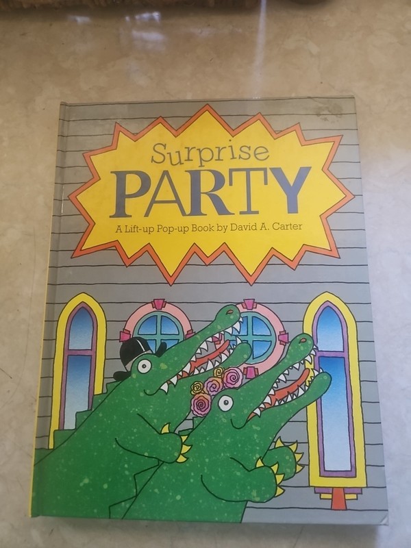 Surprise Party A Lift up Pop up Book Very Good Condition PU1