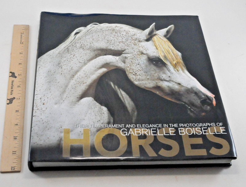 Horses Their Temperament & Elegance In The Photograph of Gabrielle Boiselle HCDJ