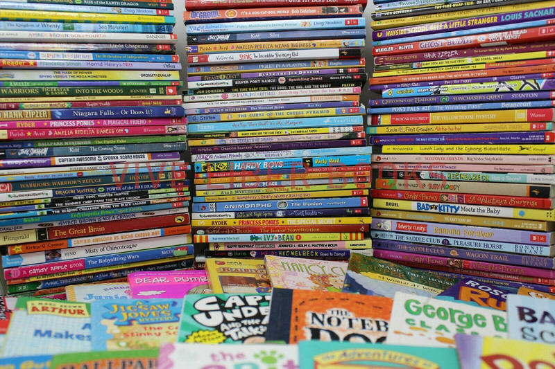 Bulk/Huge Lot of 50 of Children's Kids Chapter Books - Random - Free Shipping! gallery