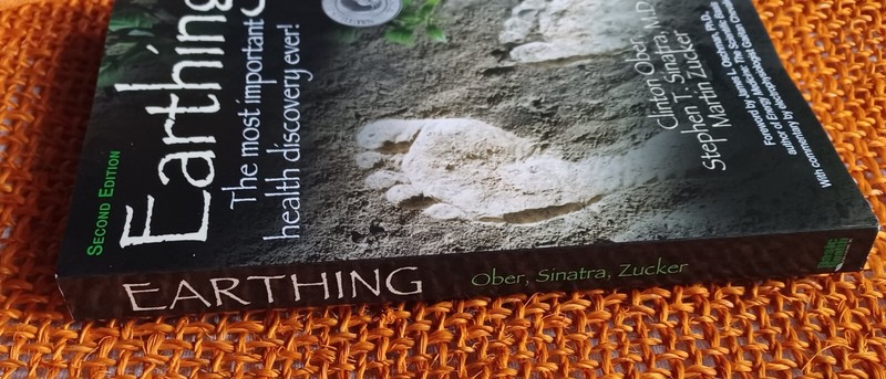 Earthing Martin Zucker Stephen Sinatra Clinton Ober 2014 SC Nautilus Book Award gallery