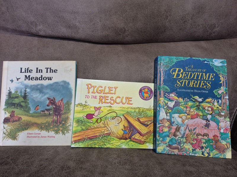 Lot Of 3 Kids Books