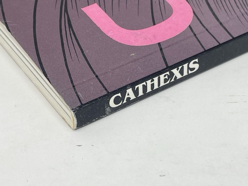 Cathexis Michael Manning Amerotica 1997 vintage gallery