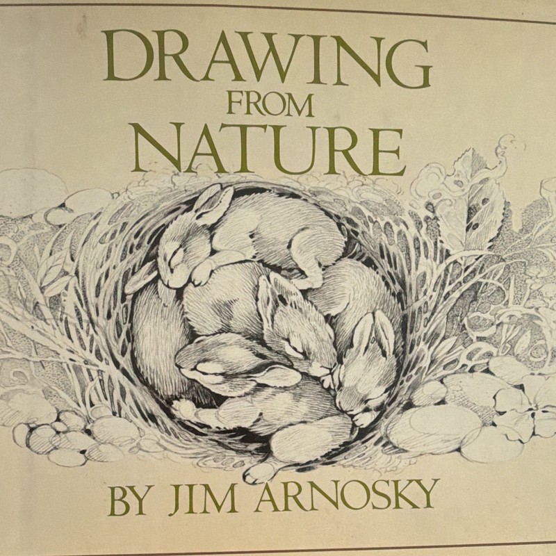 Drawing from Nature by Jim Arnosky Hardcover Art Drawing Nature, Lothrop Lee