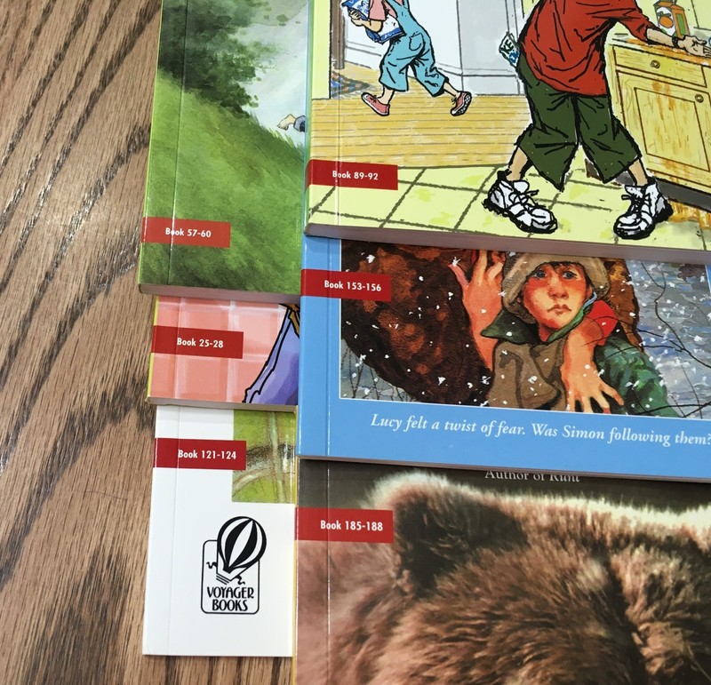 FOUNTAS & PINNELL LEVELED LITERACY INTERVENTION / 6 CHAPTER BOOKS / RED LEVEL gallery