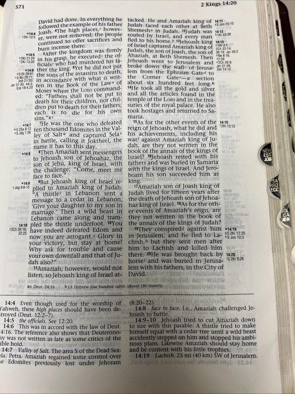 ✝️ NIV Ryrie Study Bible 1994 Text THUMB INDEXED 1994 Bonded Leather gallery