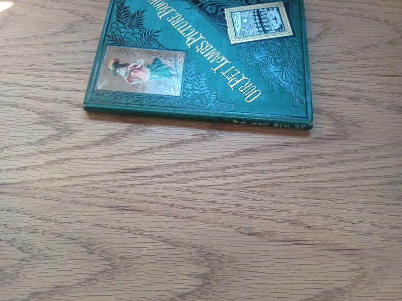Out Pet Lambs Picture Book Thomas Nelson And Sons gallery