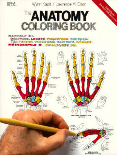 The Anatomy Coloring Book – Paperback By Kapit, Wynn – GOOD