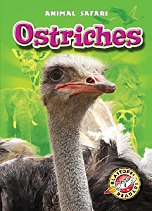 Ostriches Library Binding Kari Schuetz