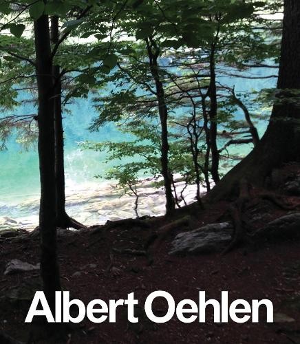 Daniel Baumann Albert Oehlen Albert Oehlen (Hardback)