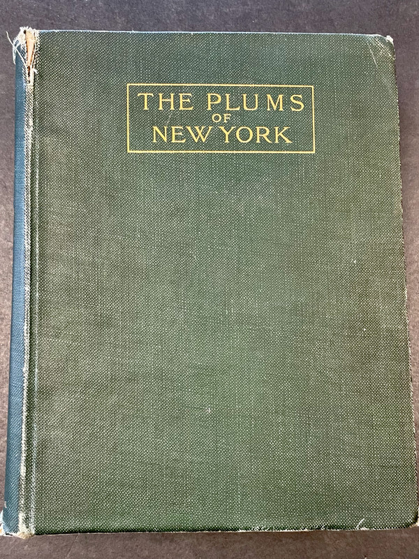 The Plums of New York U.P. Hendrick 1911 Volume 3 Part II Ex-Library 616 Pages gallery