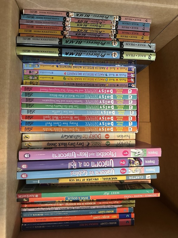 Early Chapter Book Sets, Daisy dreamer, Princess In black, And More!