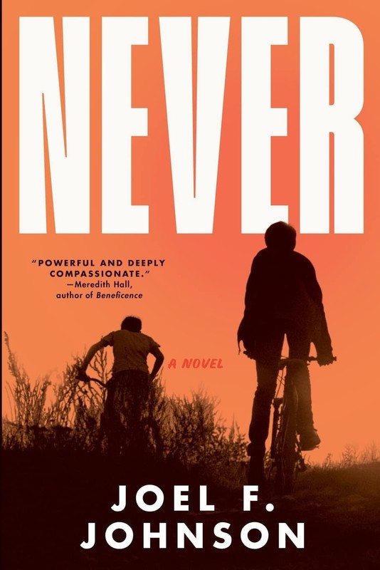 Never: a novel