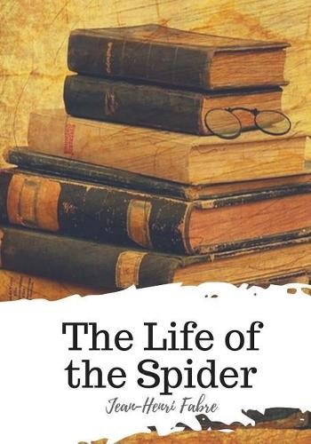 Jean-Henri Fabre The Life of the Spider (Paperback)