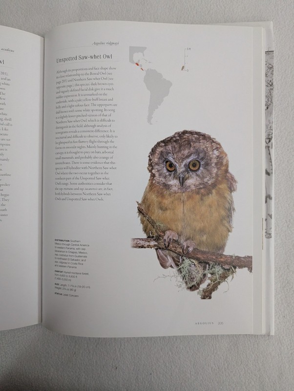 Owls : A Guide to Every Species in the World by Marianne Taylor (2016,... gallery