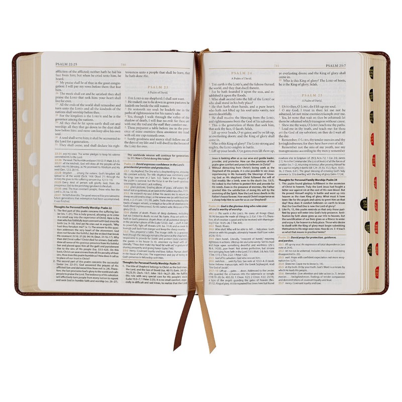 The Holy Bible King James Version Study Bible Indexed Toffee/Burgandy Hardcover gallery