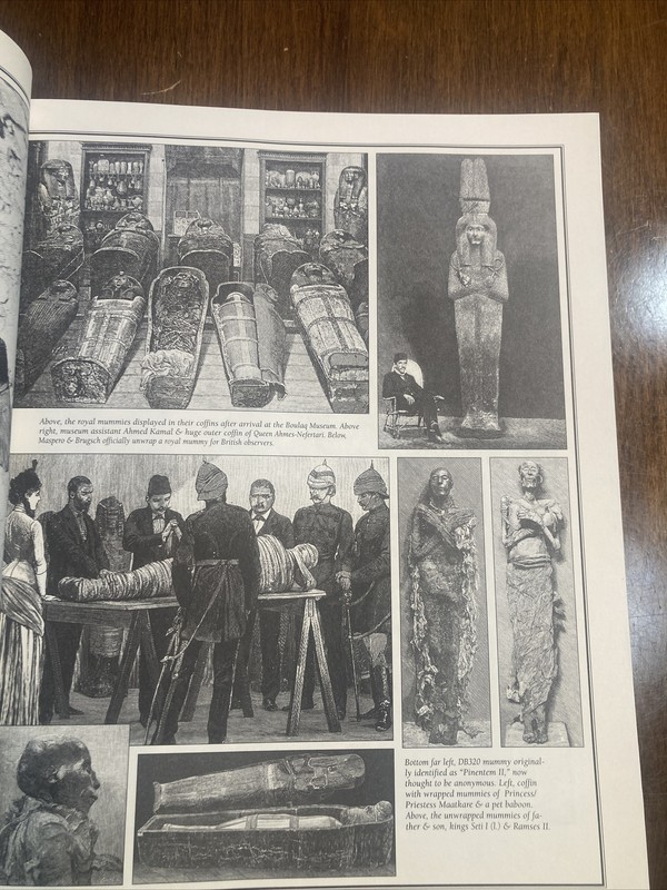 Amelia Peabody Ser.: Amelia Peabody's Egypt : A Compendium (2003 1st Ed HC/DJ) gallery