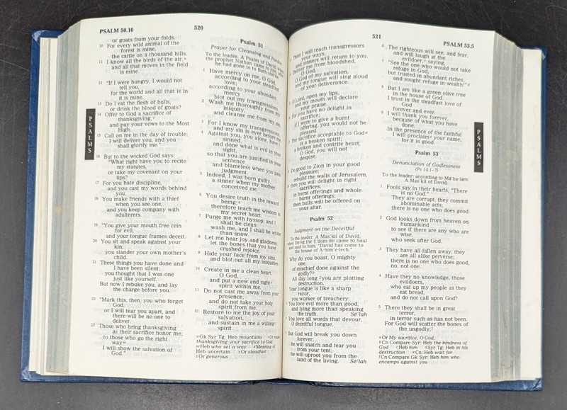 Holy Bible NRSV New Revised Standard Version-1989 Thomas Nelson Blue Cover gallery