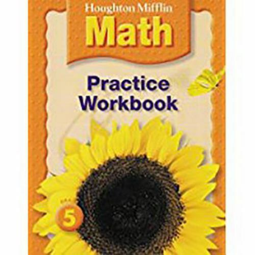 Houghton Mifflin Math Practice – Not Available NA, 9780618698783, paperback, new