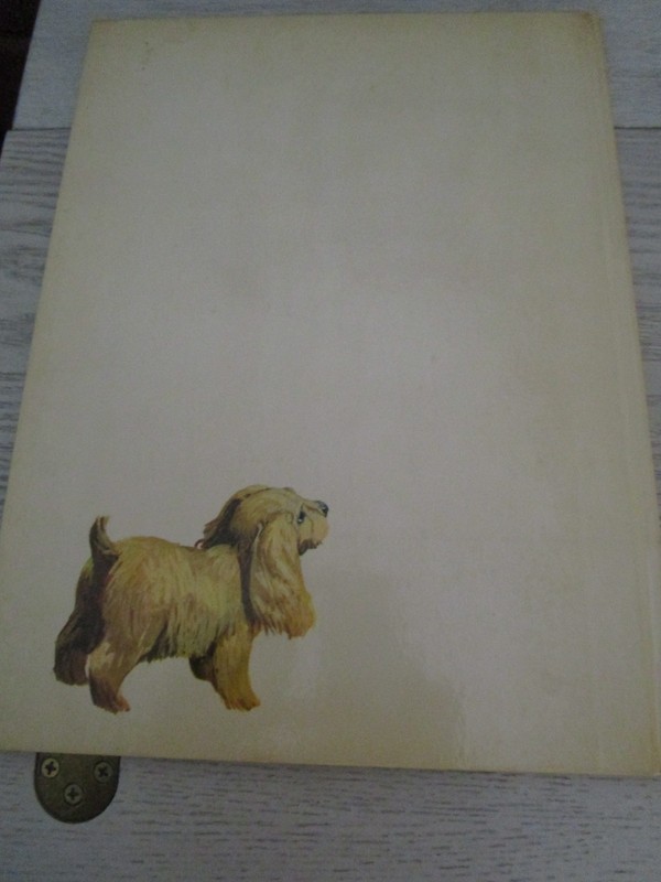 Snowy the Little White Horse Big Golden Book First Edition 1965 Illustrated Pony gallery