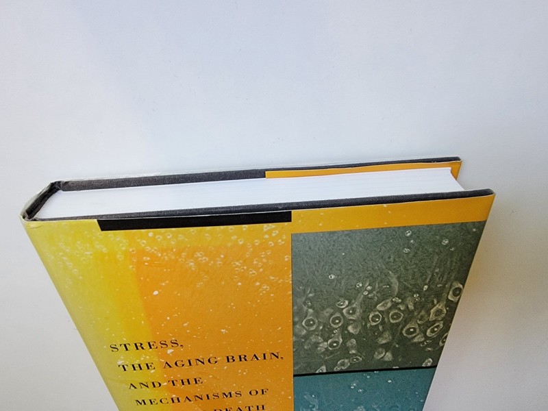 Stress, the Aging Brain, and the Mechanisms of Neuron Death Robert M. Sapolsky gallery