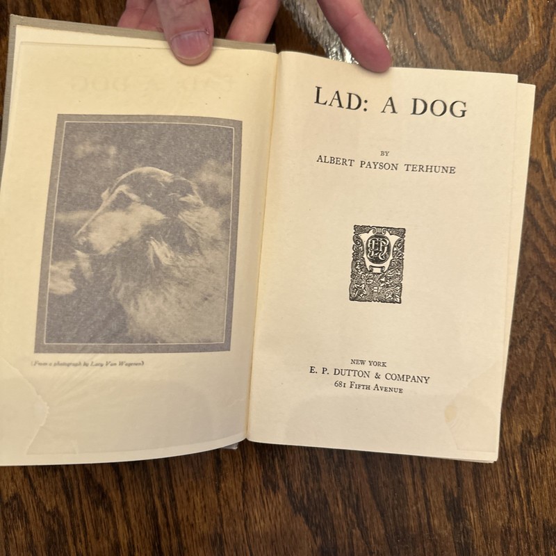1919 Lad: A Dog by Albert Payson Terhune E P Dutton New York 1st / 5th Printing gallery