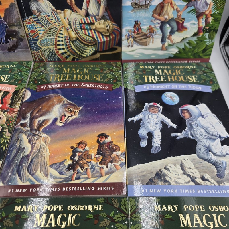 Magic Tree House 12 Book Set Books 1-12 gallery