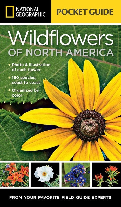 National Geographic Pocket Guide to Wildflowers of North America by Catherine He
