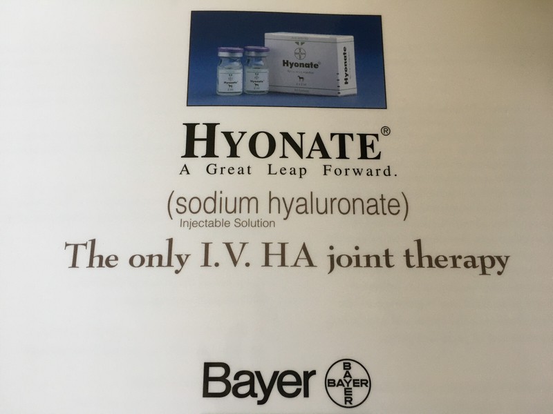 Equine Joint Disease laminated illustrations Bayer Hyonate booklet 43 x 30.5 cm gallery